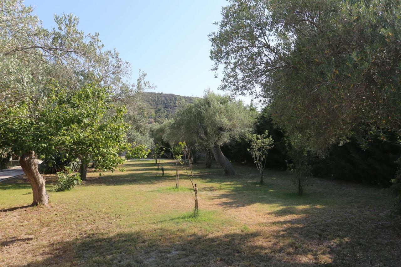 Villa Argo 3 - Beachfront, Big Gardens, Location! Pefkochori Exterior photo