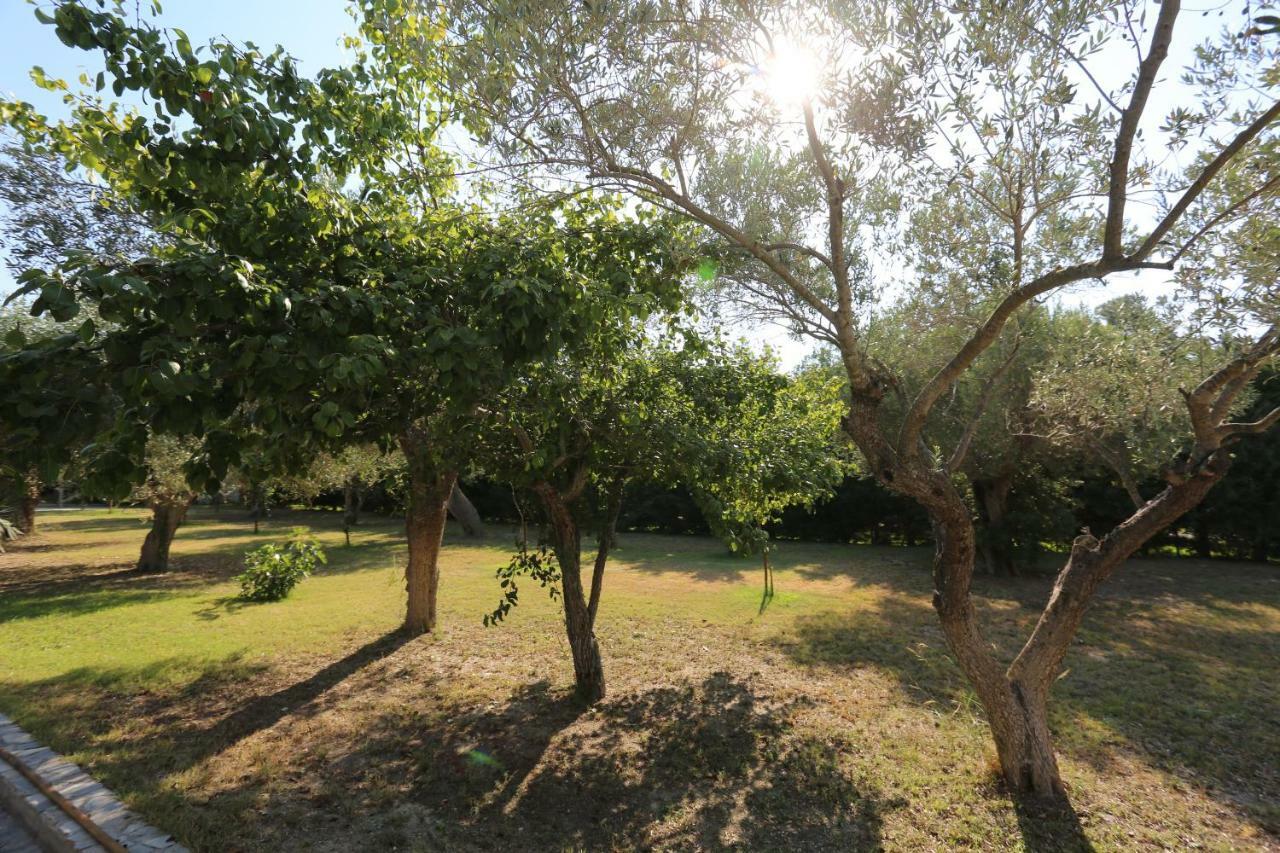 Villa Argo 3 - Beachfront, Big Gardens, Location! Pefkochori Exterior photo